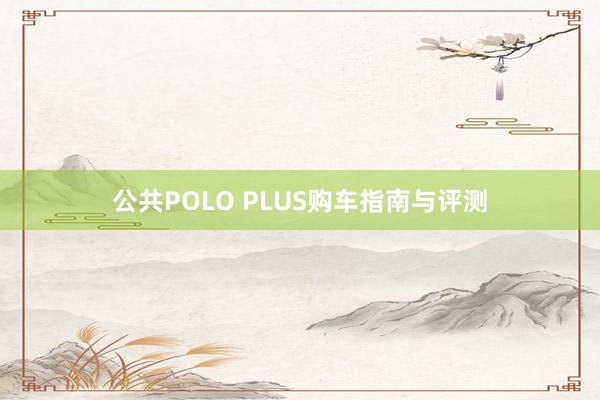 公共POLO PLUS购车指南与评测